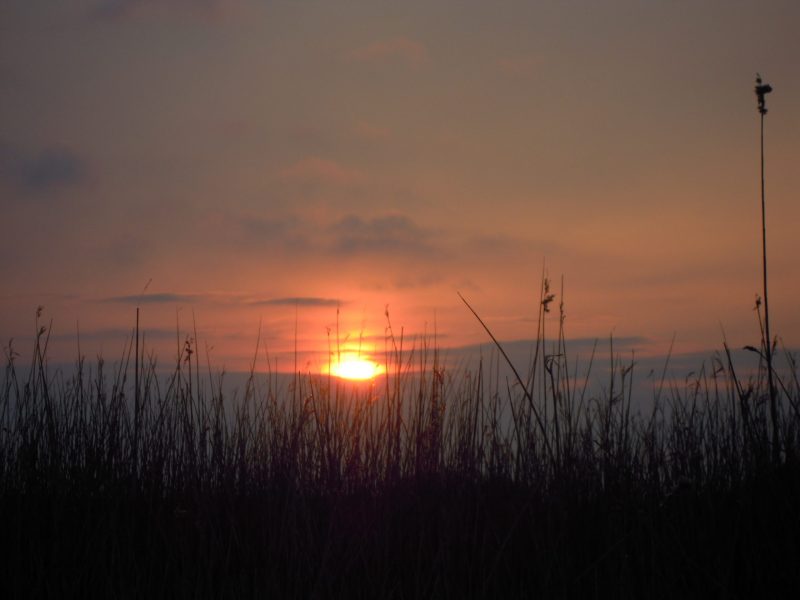 DSCN1236